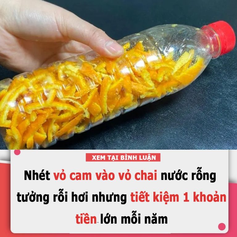 Nhét vỏ cam vào vỏ chai nước rỗng, tưởng rỗi hơi nhưng tiết kiệm 1 khoản tiền lớn mỗi năm