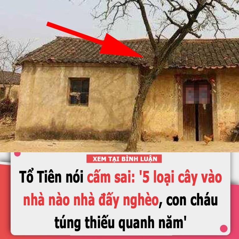 Tổ Tiên nói cấm sai: ‘5 loại cây vào nhà nào nhà đấy nghèo, con cháu túng thiếu quanh năm’