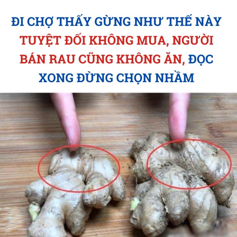 Đi chợ thấy gừng như thế này tuyệt đối không mua, người bán rau cũng không ăn, đọc xong đừng chọn nhầm