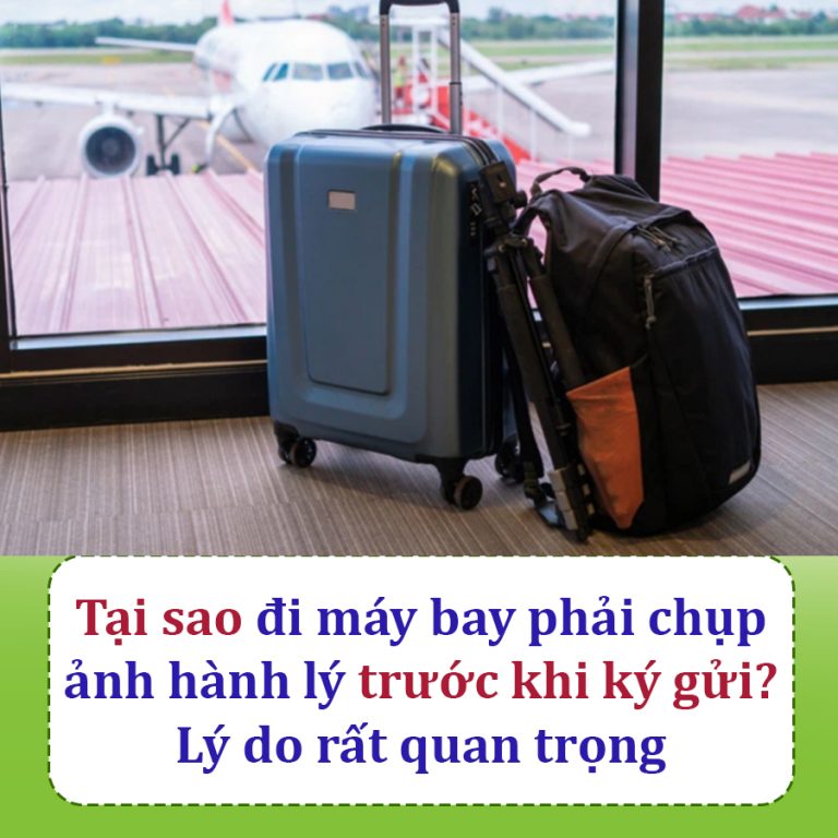 Tại sao đi máy bay phải chụp ảnh hành lý trước khi ký gửi? Lý do rất quan trọng