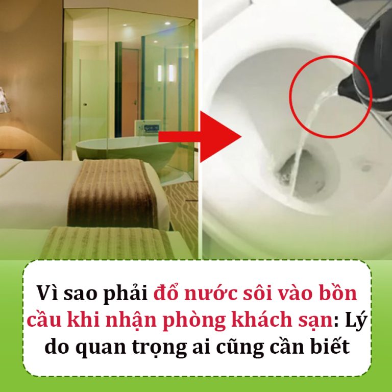 Vì sao phải đổ nước sôi vào bồn cầu khi nhận phòng khách sạn?