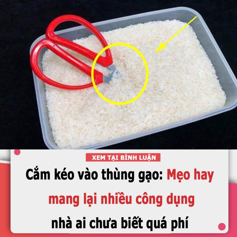 Cắm kéo vào thùng gạo: Mẹo hay mang lại nhiều công dụng, nhà ai chưa biết quá phí