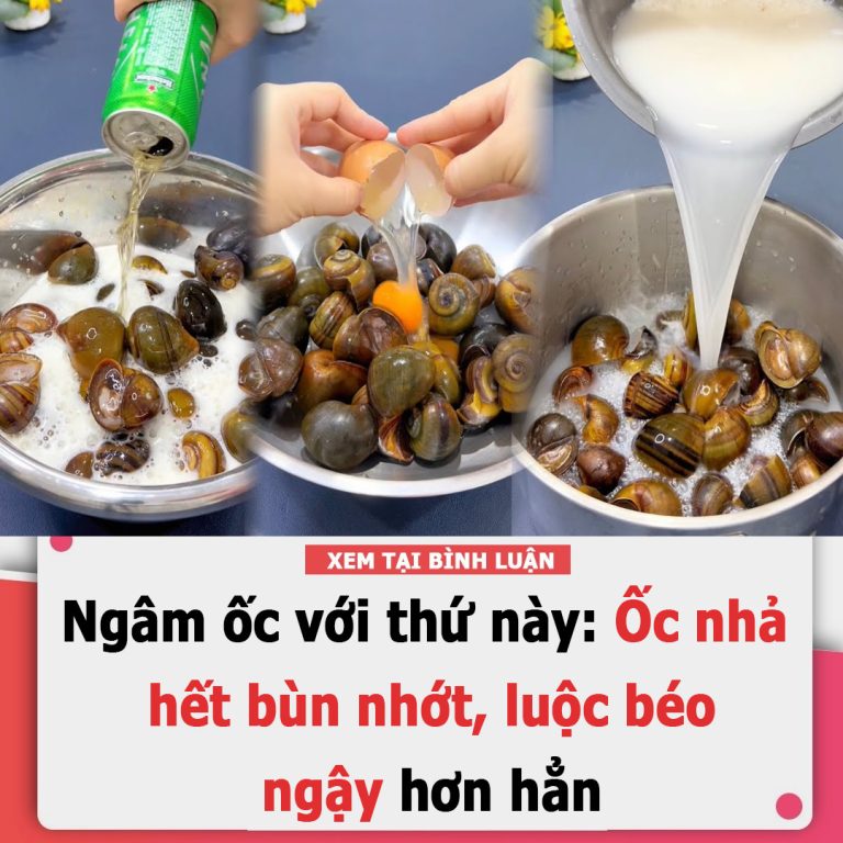 Ngâm ốc với thứ này: Ốc nhả hết bùn nhớt, luộc béo ngậy hơn hẳn