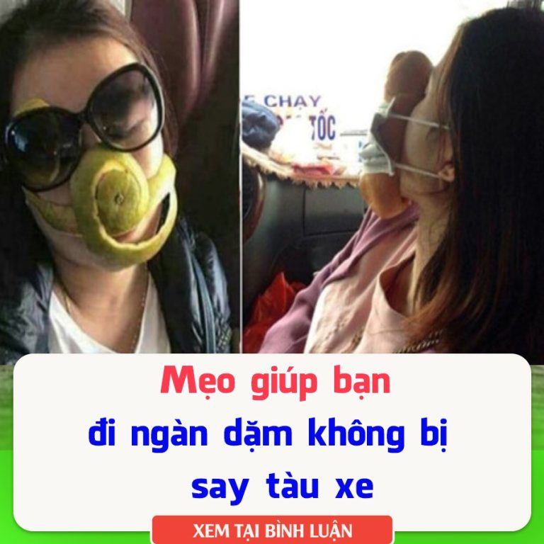 Mẹo giúp bạn đi ngàn dặm không bị say tàu xe