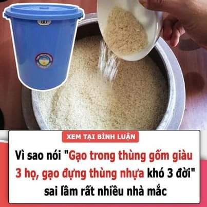 Vì sao nói “Gạo trong thùng gốm giàu 3 họ, gạo đựng thùng nhựa khó 3 đời”, sai lầm rất nhiều nhà mắc