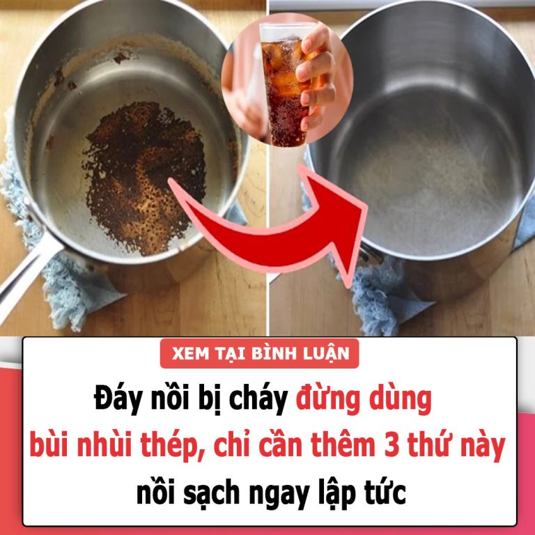 Đáy nồi bị cháy đừng dùng bùi nhùi thép, chỉ cần thêm 3 thứ này nồi sạch ngay lập tức