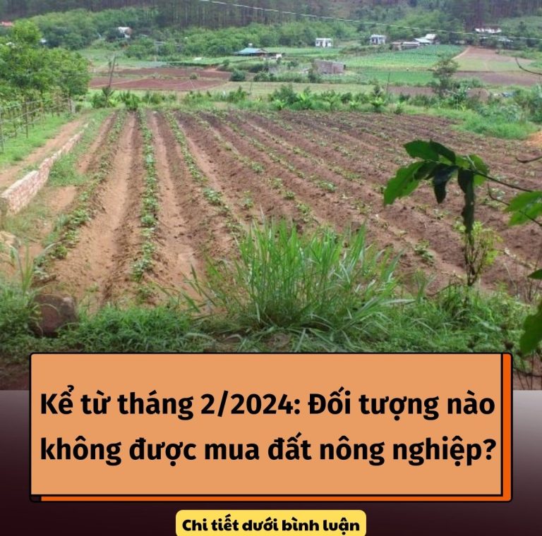 Kể từ tháng 2/2024: Đối tượng nào không được mua đất nông nghiệp?