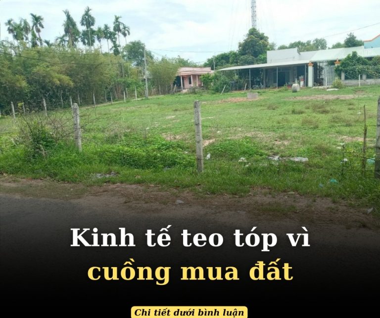 ‘Kinh tế teo tóp vì cuồng mua đất’