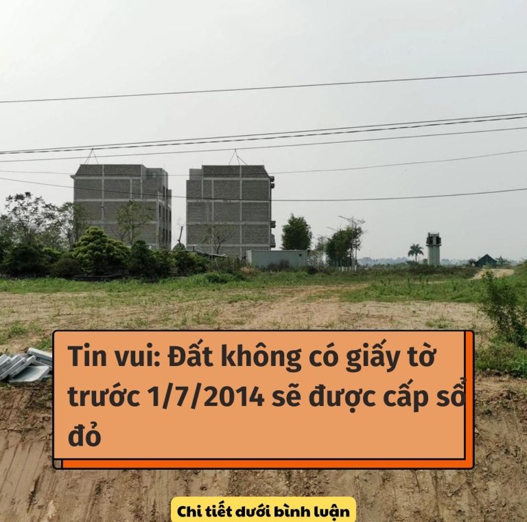 Đất không có giấy tờ trước 1/7/2014 sẽ được cấp sổ đỏ