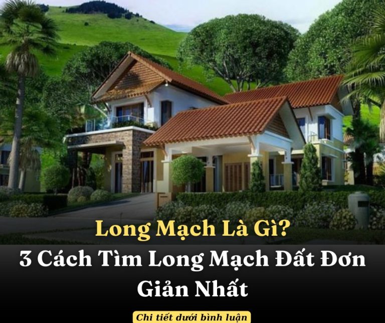 Long Mạch Là Gì? 3 Cách Tìm Long Mạch Đất Đơn Giản Nhất