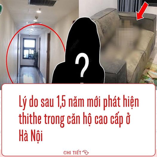 Lý do sau 1,5 năm mới phát hiện thithe trong căn hộ cao cấp ở Hà Nội