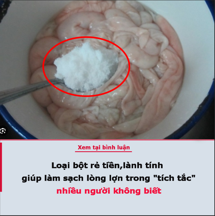 Loại bột rẻ tiền, lành tính giúp làm sạch lòng lợn trong “tích tắc”, nhiều người không biết