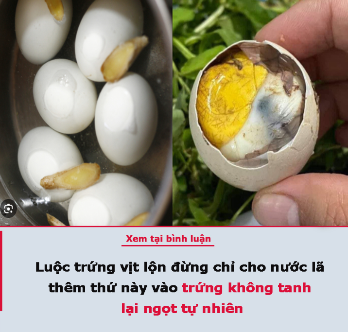 Luộc trứng vịt lộn đừng chỉ cho nước lã, thêm thứ này vào trứng không tanh lại ngọt tự nhiên