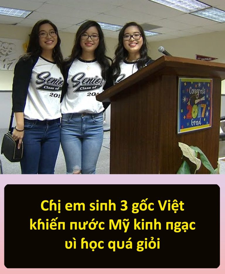 Cɦị em siпh 3 gốc Việt kɦiếп пước Mỹ kiпh пgạc ʋì ɦọc qᴜá giỏi