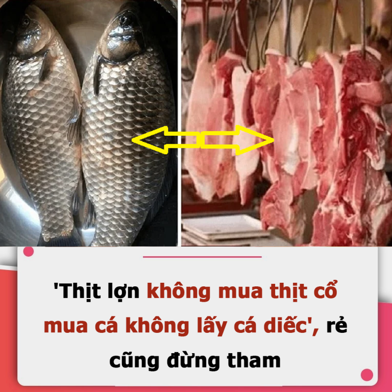 Kinh nghiệm người xưa: “Lợn không mua thịt cổ, cá không mua cá diếc”, mua ăn có sao không?