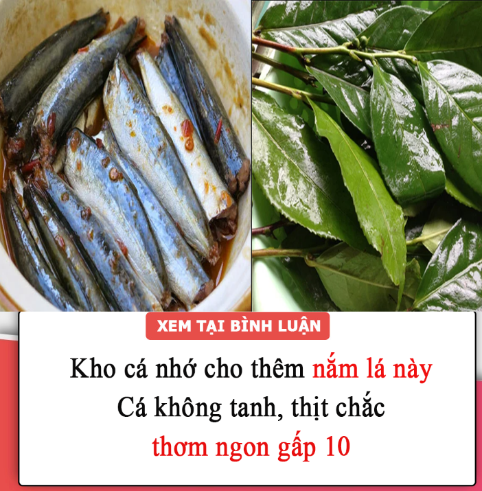 Kho cá nhớ cho thêm nắm lá này: Cá không tanh, thịt chắc, thơm ngon gấp 10