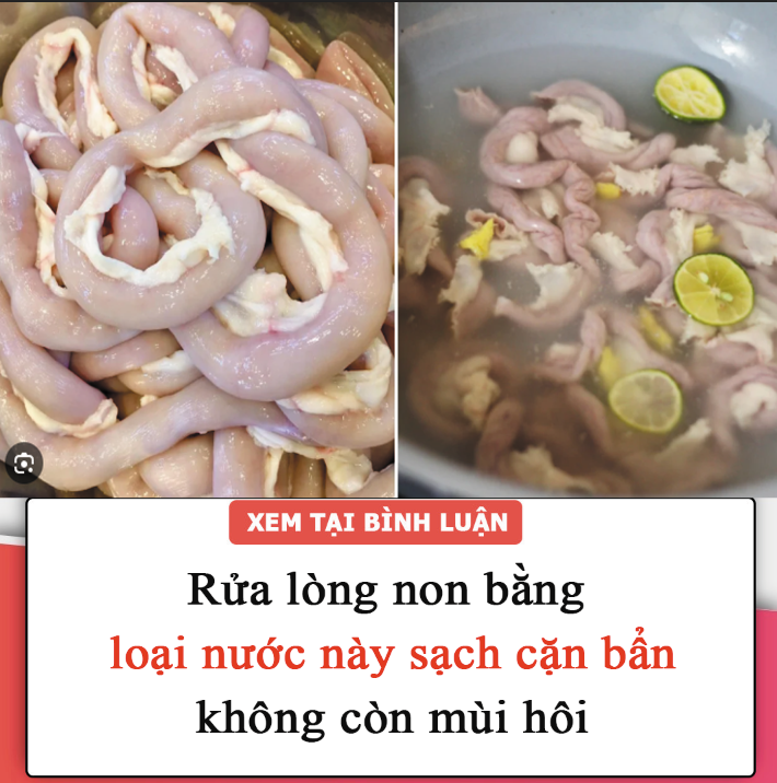 Rửa lòng non bằng loại nước này, sạch cặn bẩn, không còn mùi hôi