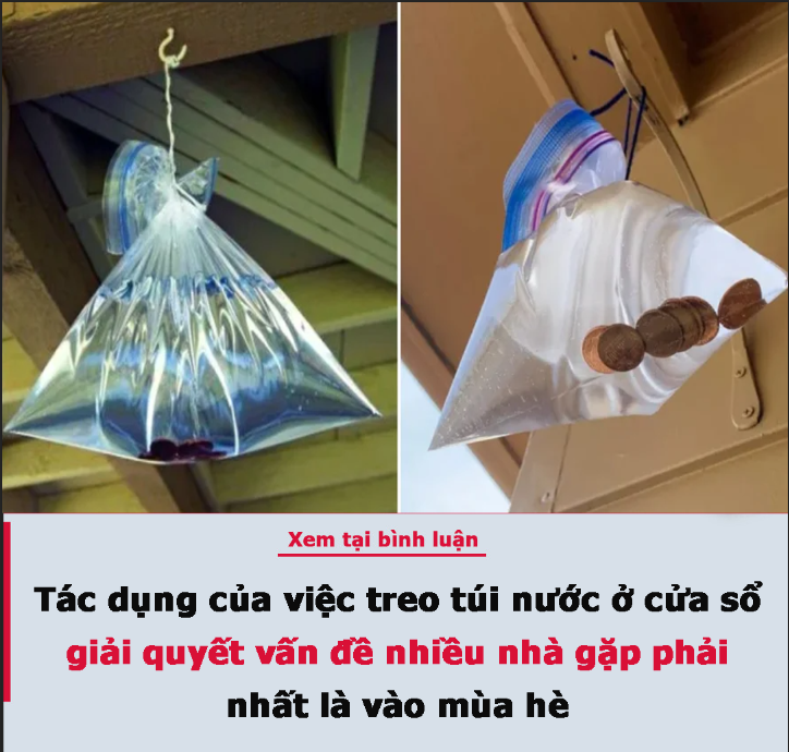 Tác dụng của việc treo túi nước ở cửa sổ, giải quyết vấn đề nhiều nhà gặp phải, nhất là vào mùa hè