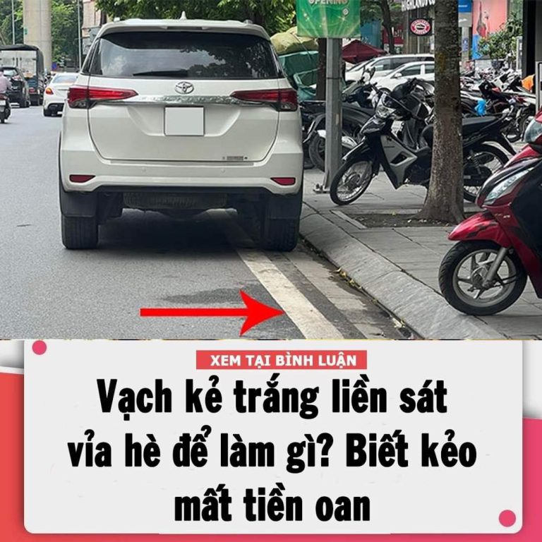 Vạch kẻ trắng liền sát vỉa hè để làm gì? Biết kẻo mất tiền oan