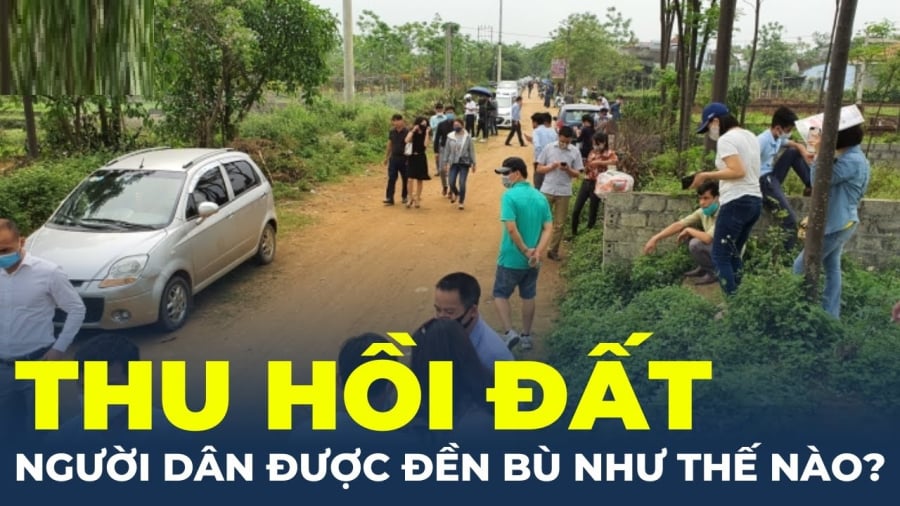 thu-hoi-dat