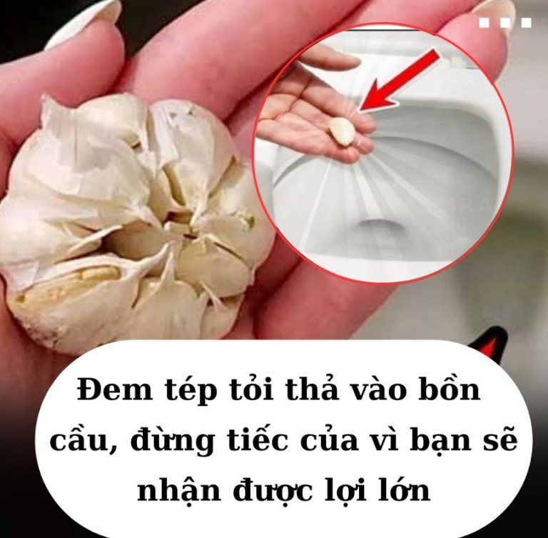 Đem tép tỏi thả vào bồn cầu, đừng tiếc của vì bạn sẽ nhận được lợi lớn