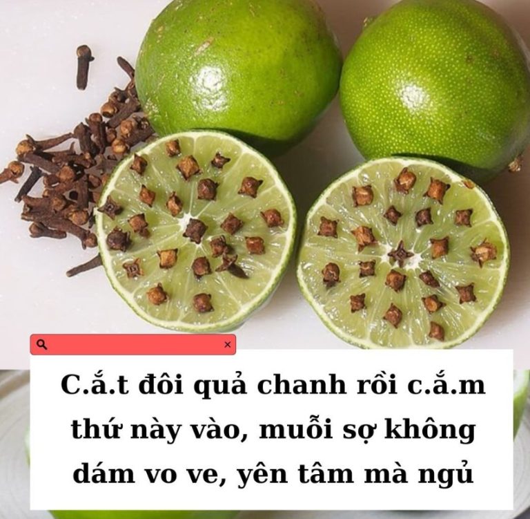 C.ắ.t đôi quả chanh rồi cắm thứ này vào, muỗi sợ không dám vo ve, yên tâm mà ngủ