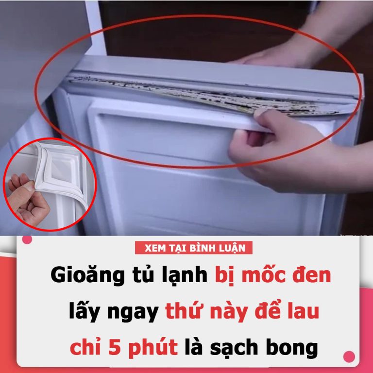 Gioăng tủ lạnh bị mốc đen, lấy ngay thứ này để lau, chỉ 5 phút là sạch bong