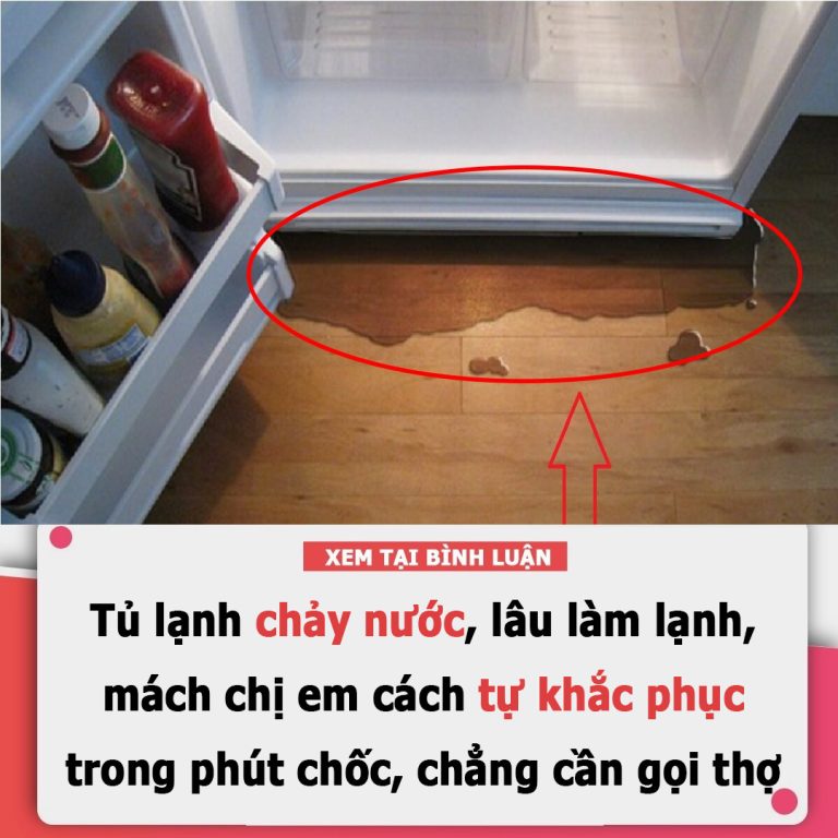 Tủ lạnh chảy nước, lâu làm lạnh, chỉ chị em cách tự khắc phục trong phút chốc, chẳng cần gọi thợ