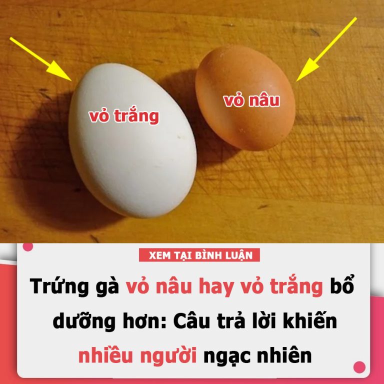 Trứng gà vỏ nâu hay vỏ trắng bổ dưỡng hơn: Câu trả lời khiến nhiều người ngạc nhiên