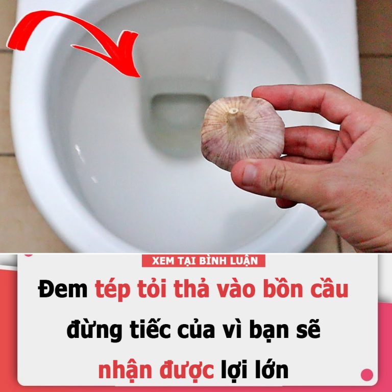 Đem tép tỏi thả vào bồn cầu, đừng tiếc của vì bạn sẽ nhận được lợi lớn