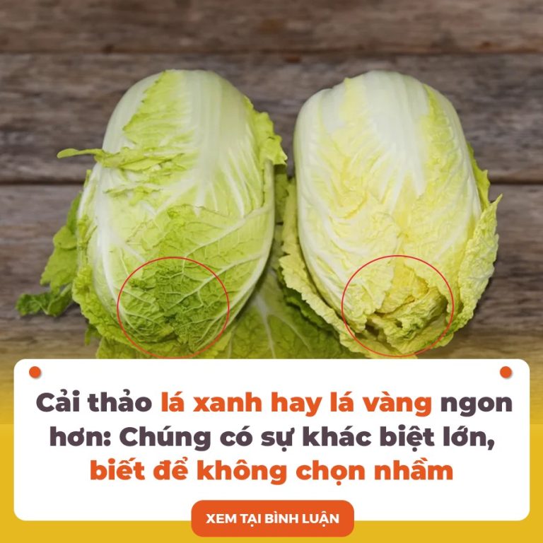 Cải thảo lá xanh hay lá vàng ngon hơn: Chúng có sự khác biệt lớn, biết để không chọn nhầm