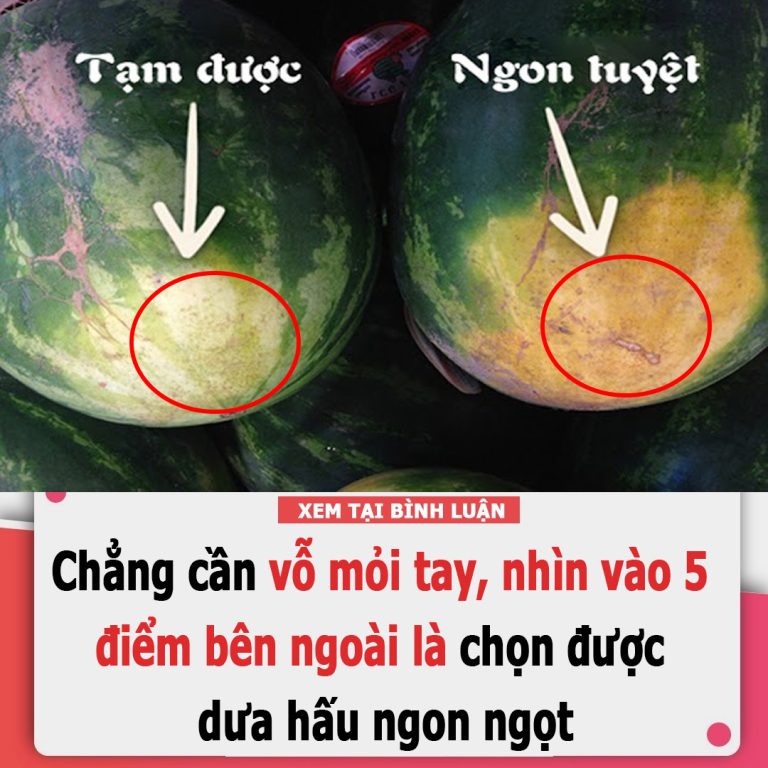 Chẳng cần vỗ mỏi tay, nhìn vào 5 điểm bên ngoài là chọn được dưa hấu ngon ngọt