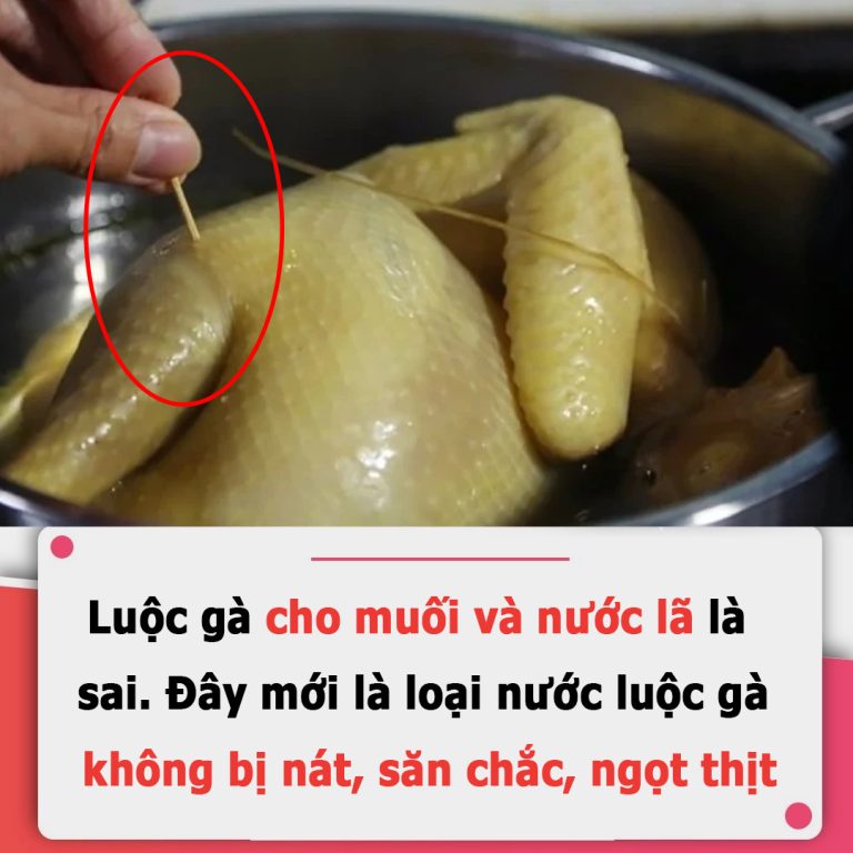 Luộc gà cho muối và nước lã là sai: Đây mới là loại nước luộc gà không bị nát, săn chắc, ngọt thịt