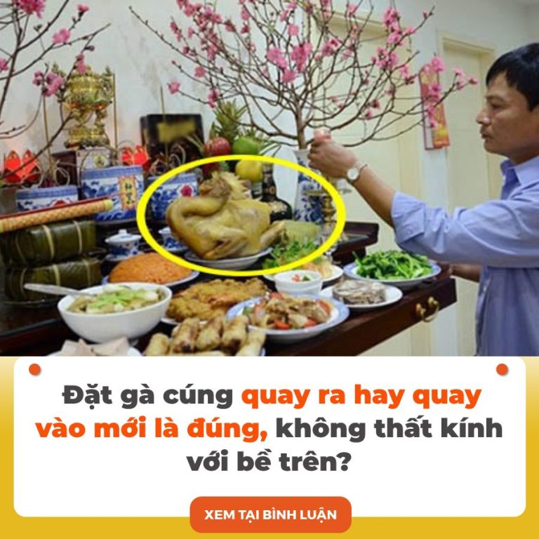 Đặt gà cúng quay ra hay quay vào mới là đúng, không thất kính với bề trên?