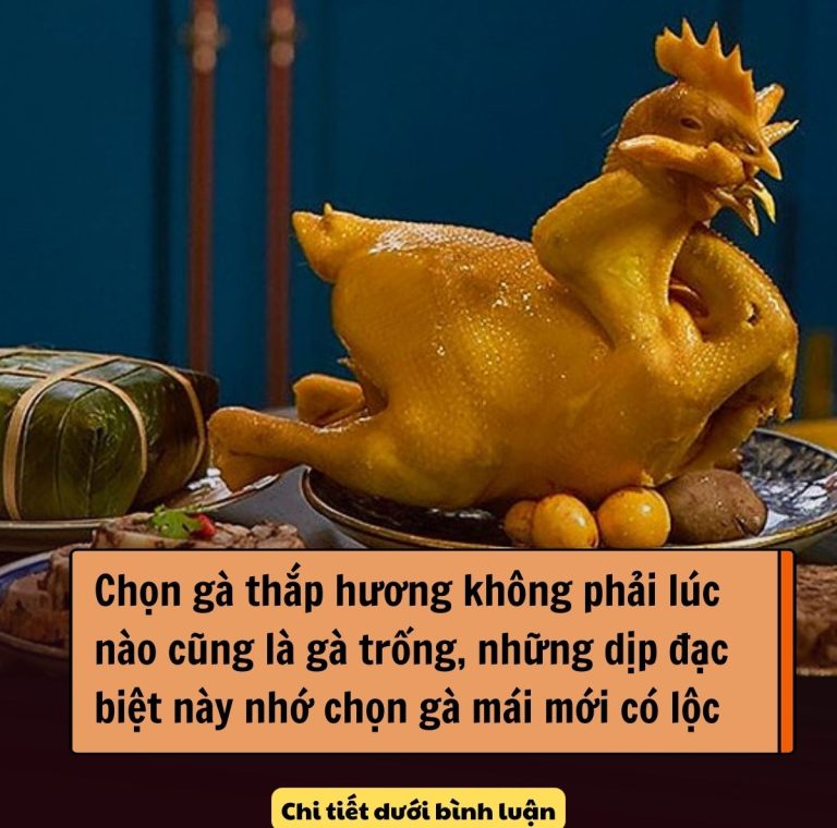 Chọn gà thắp hương không phải lúc nào cũng là gà trống, những dịp đặc biệt này nhớ chọn gà mái mới có lộc