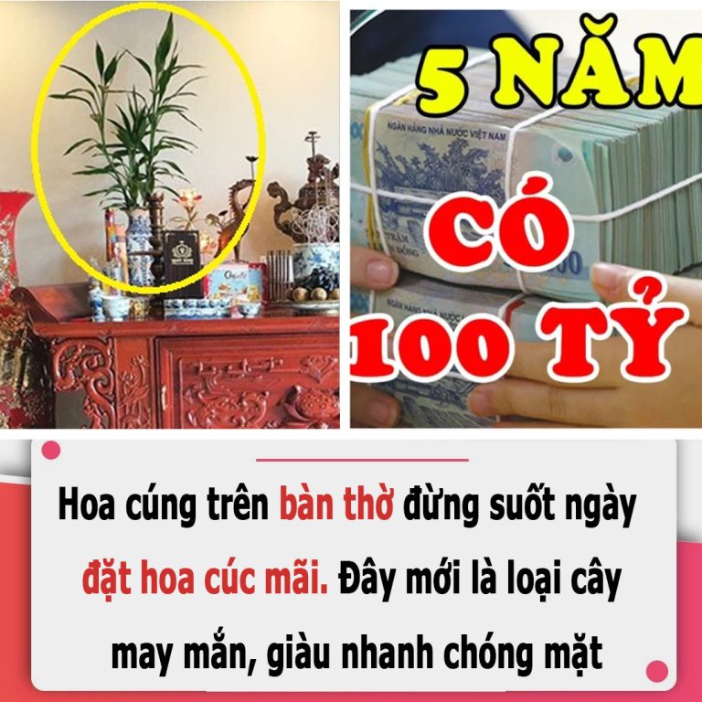 Cúng Rằm đừng đặt hoa cúc lên bàn thờ mãi: Đây là 5 loại hoa hút lộc, nghe tên đã có tiền vào