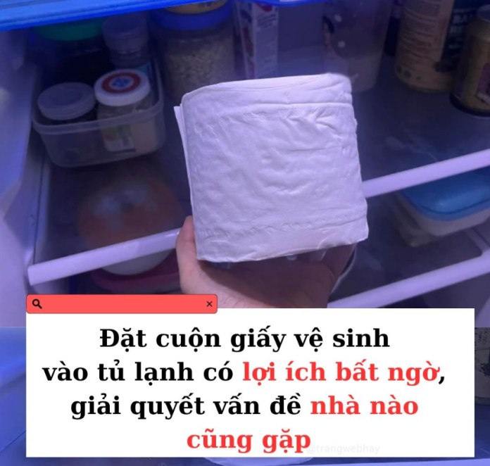 Đặt cuộn giấy vệ sinh vào tủ lạnh có lợi ích bất ngờ, giải quyết vấn đề nhà nào cũng gặp