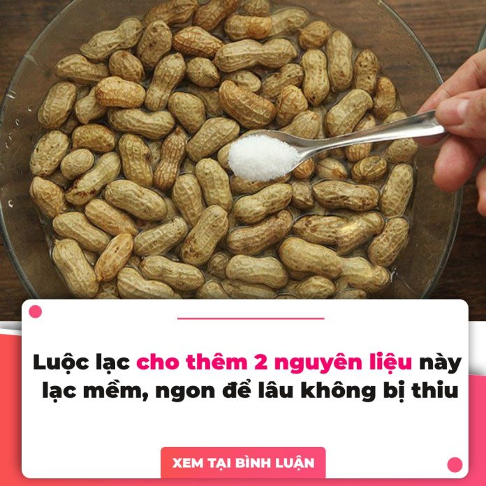 Luộc lạc đừng chỉ cho nước, thêm 2 nguyên liệu này lạc mềm, ngon để lâu không bị thiu, nhớt