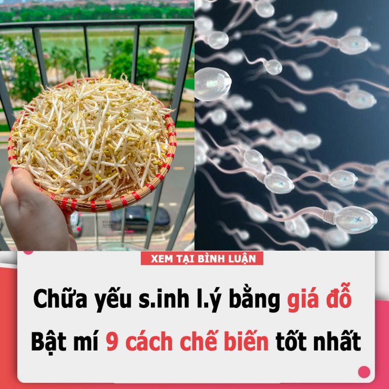 Chữa yếu sinh lý bằng giá đỗ – Bật mí 9 cách tốt nhất chế biến tốt nhất