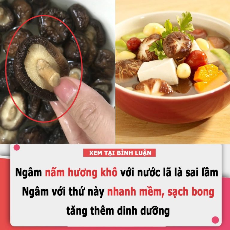 Ngâm nấm hương khô với nước lã là sai lầm: Ngâm với thứ này nhanh mềm, sạch bong, tăng thêm dinh dưỡng