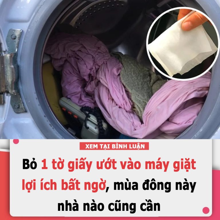 Bỏ 1 tờ giấy ướt vào máy giặt, lợi ích bất ngờ, mùa đông này nhà nào cũng cần