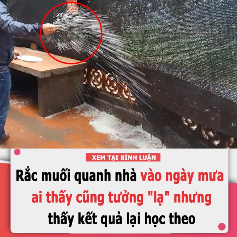 Rắc muối quanh nhà vào ngày mưa, ai thấy cũng tưởng “dở hơi” nhưng thấy kết quả lại học theo