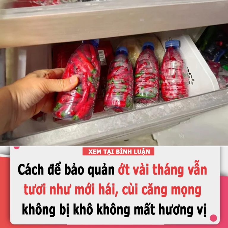 Cách để bảo quản ớt vài tháng vẫn tươi như mới hái, cùi căng mọng không bị khô, không mất hương vị