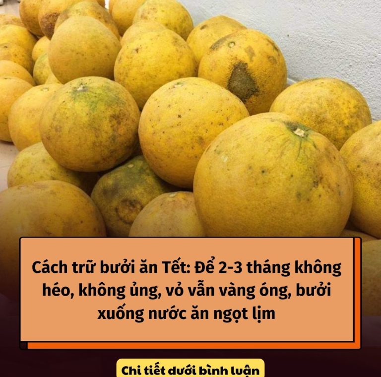 Cách trữ bưởi ăn Tết: Để 2-3 tháng không héo, không ủng, vỏ vẫn vàng óng, bưởi xuống nước ăn ngọt lịm