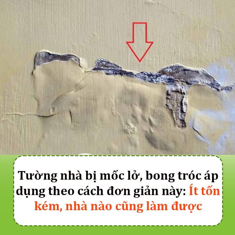 Mẹo xử lý tường nhà mốc lở, bong tróc: Chi phí hợp lý, nhà nào cũng làm được