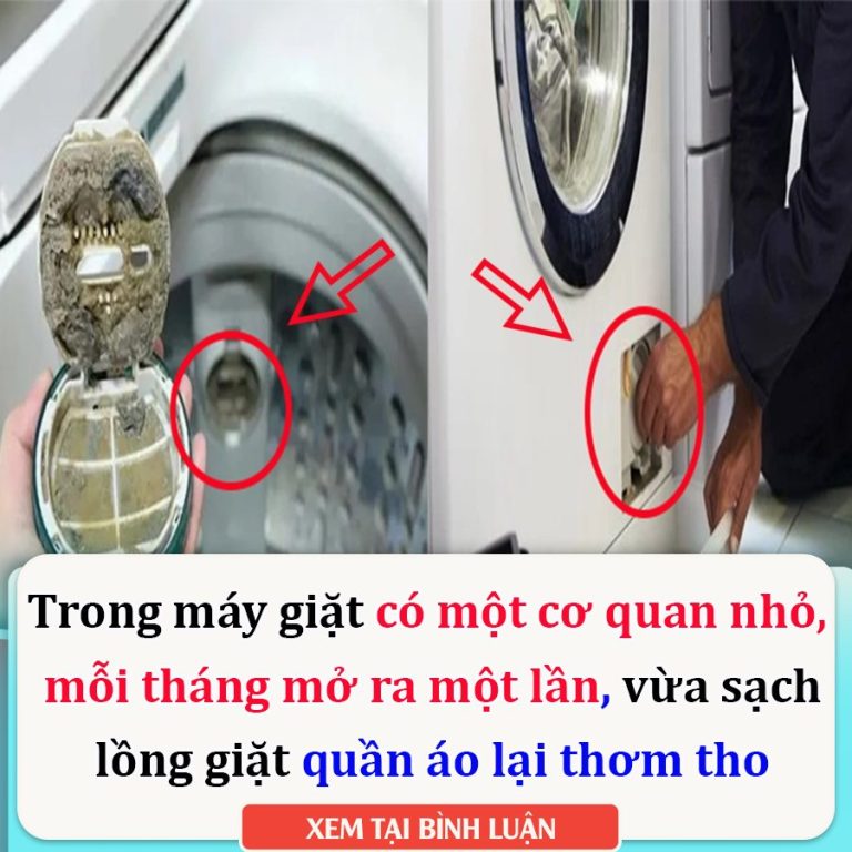 Trong máy giặt có một cơ quan nhỏ, mỗi tháng mở ra một lần, vừa sạch lồng giặt quần áo lại thơm tho