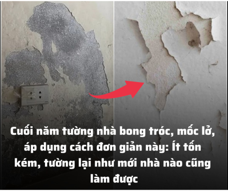 Cuối năm tường nhà bong tróc, mốc lở, áp dụng cách đơn giản này: Ít tốn kém, tường lại như mới nhà nào cũng làm được