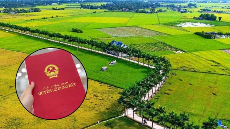 Đất nông nghiệp được xây nhà, cấp sổ đỏ trong năm 2024?