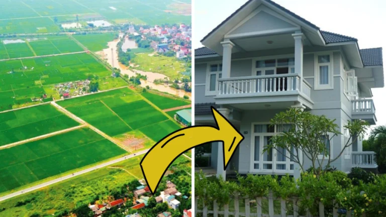 Từ nay: 5 trường hợp chuyển mục đích sử dụng đất không phải xin phép, không lo bị phạt