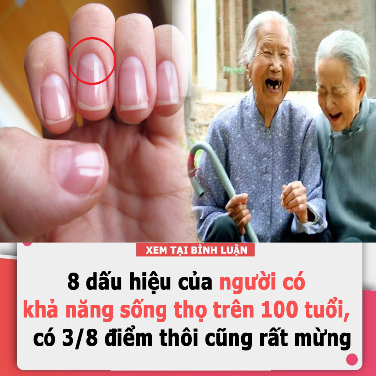 8 dấu hiệu của người có khả năng sống thọ trên 100 tuổi, có 3/8 điểm thôi cũng rất mừng rồi